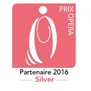 logo-silver (2)